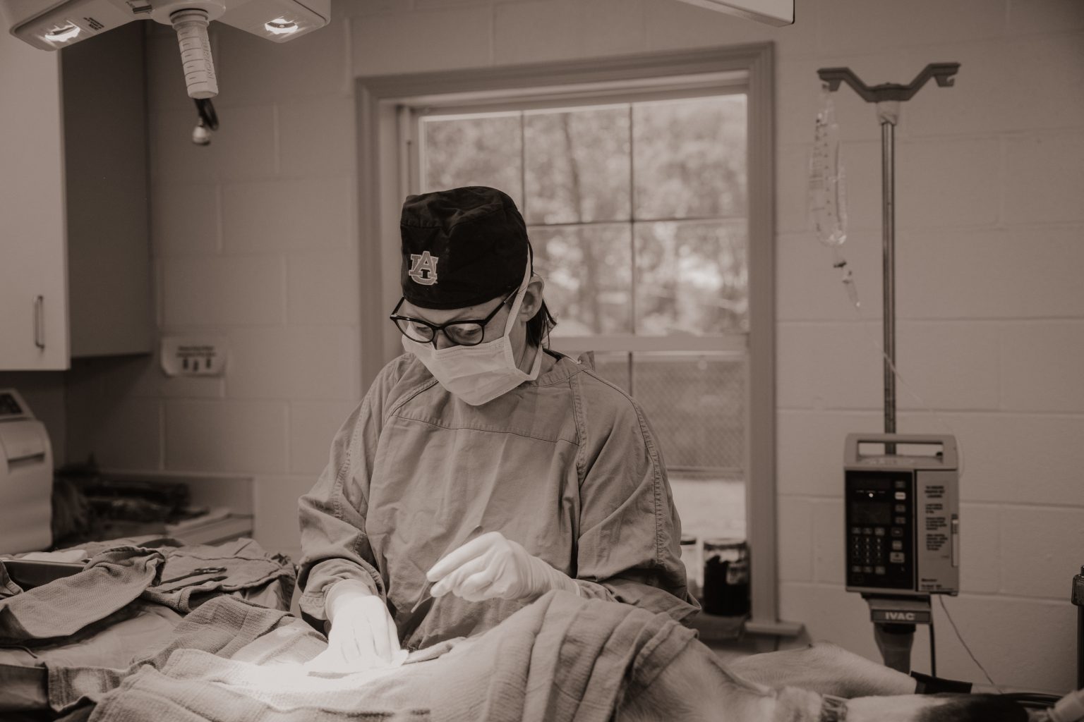 Veterinarian in Birmingham, AL Alford Avenue Veterinary Hospital