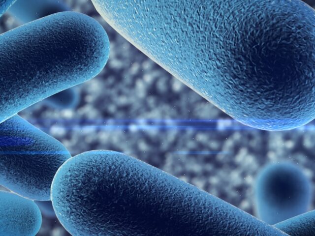 A Guide To Probiotics for Dogs & Cats