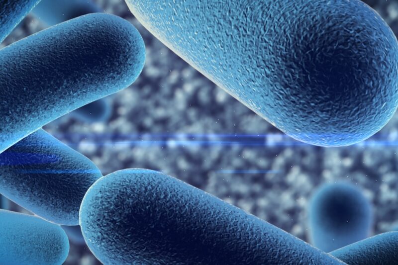 Closeup of Bacteria | Probiotics for Dogs & Cats | Alford Avenue Veterinary Hospital | Hoover, Alabama